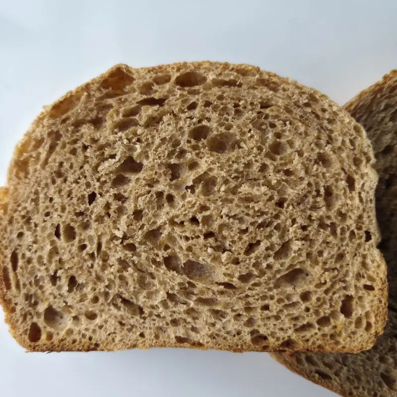 A slice of whole wheat sourdough with an open crumb